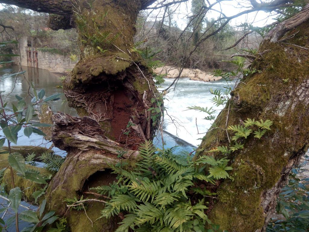 Posada La Cotia Helguera  Kültér fotó